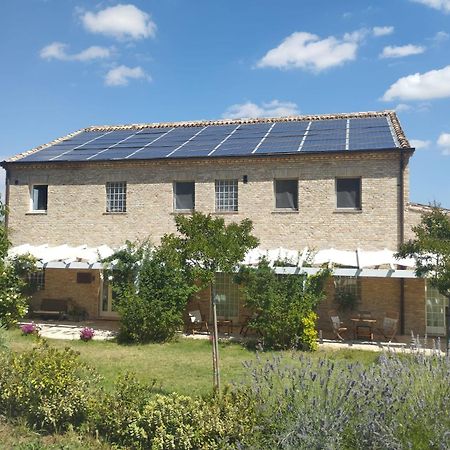 Il Giardino Nella Valle Belvedere Ostrense Εξωτερικό φωτογραφία
