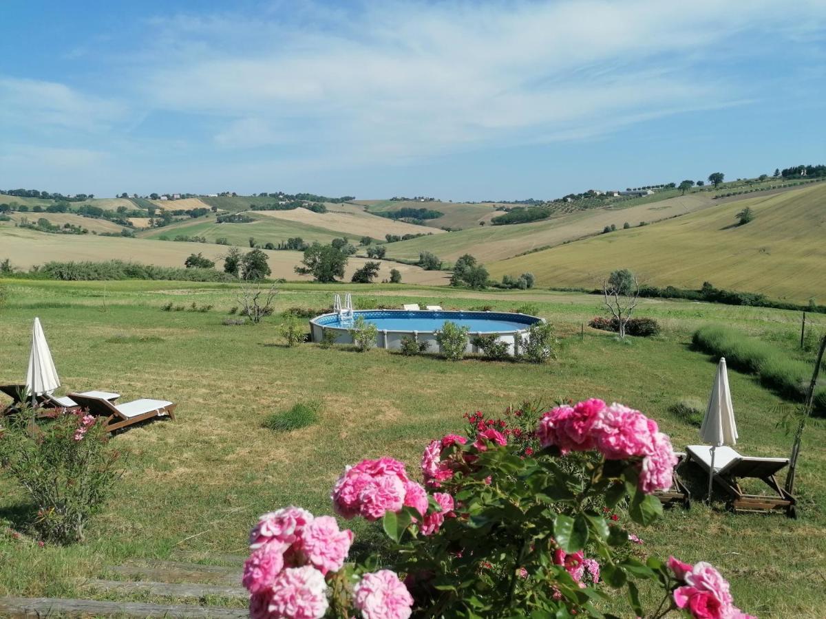 Il Giardino Nella Valle Belvedere Ostrense Εξωτερικό φωτογραφία