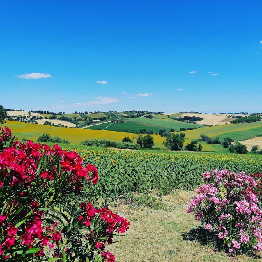Il Giardino Nella Valle Belvedere Ostrense Εξωτερικό φωτογραφία