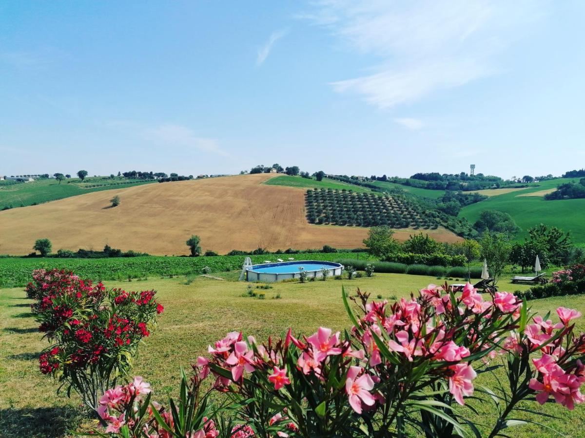 Il Giardino Nella Valle Belvedere Ostrense Εξωτερικό φωτογραφία