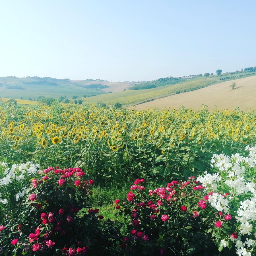 Il Giardino Nella Valle Belvedere Ostrense Εξωτερικό φωτογραφία