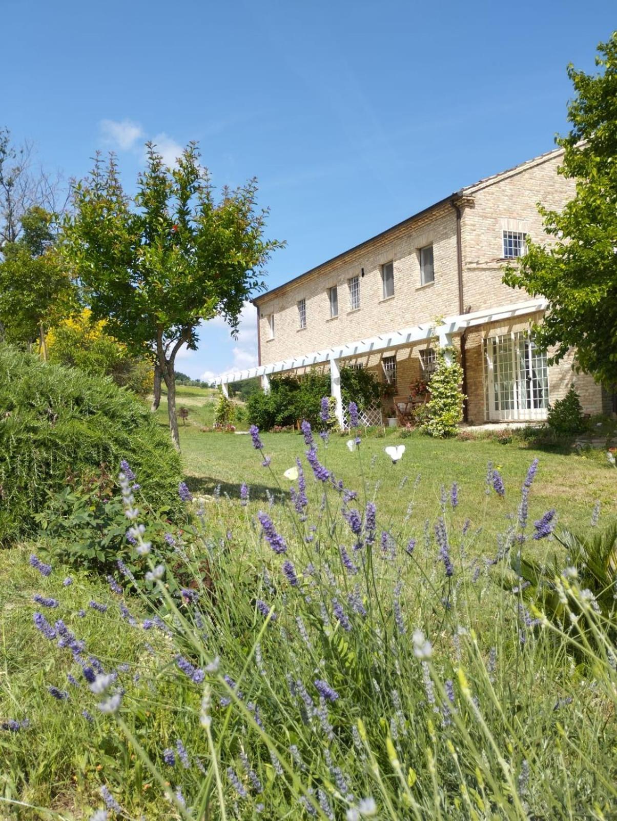 Il Giardino Nella Valle Belvedere Ostrense Δωμάτιο φωτογραφία