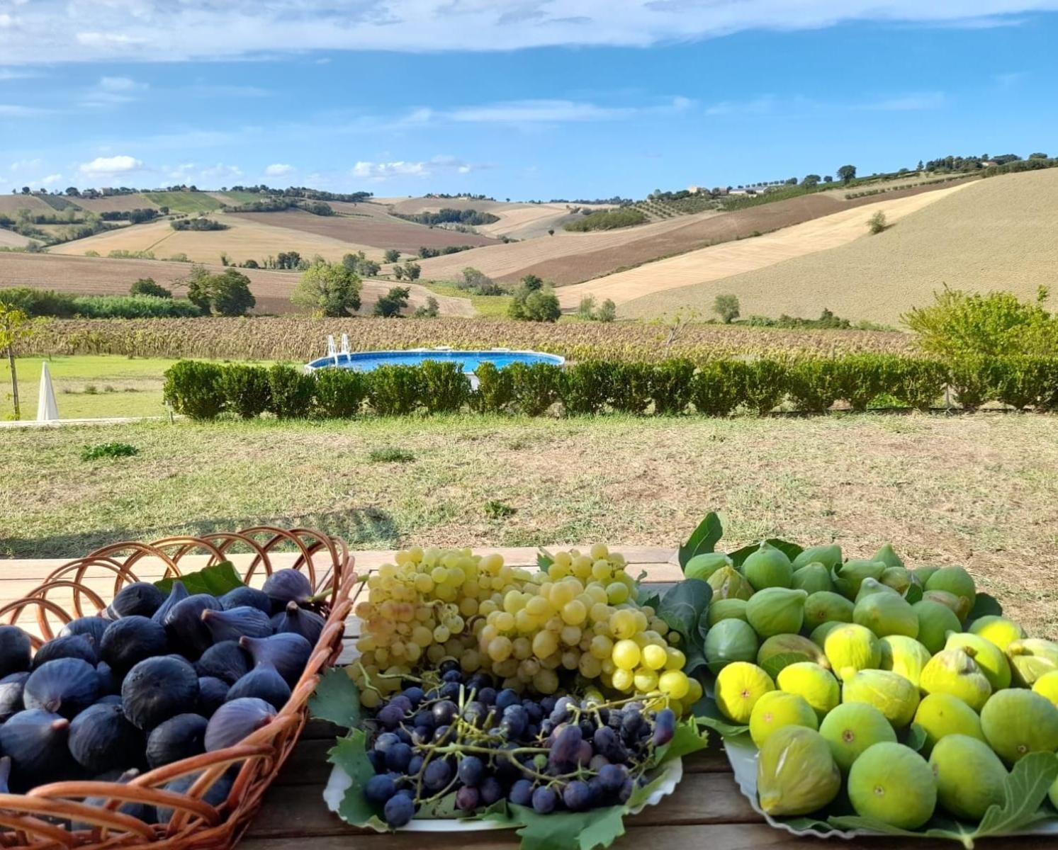 Il Giardino Nella Valle Belvedere Ostrense Εξωτερικό φωτογραφία
