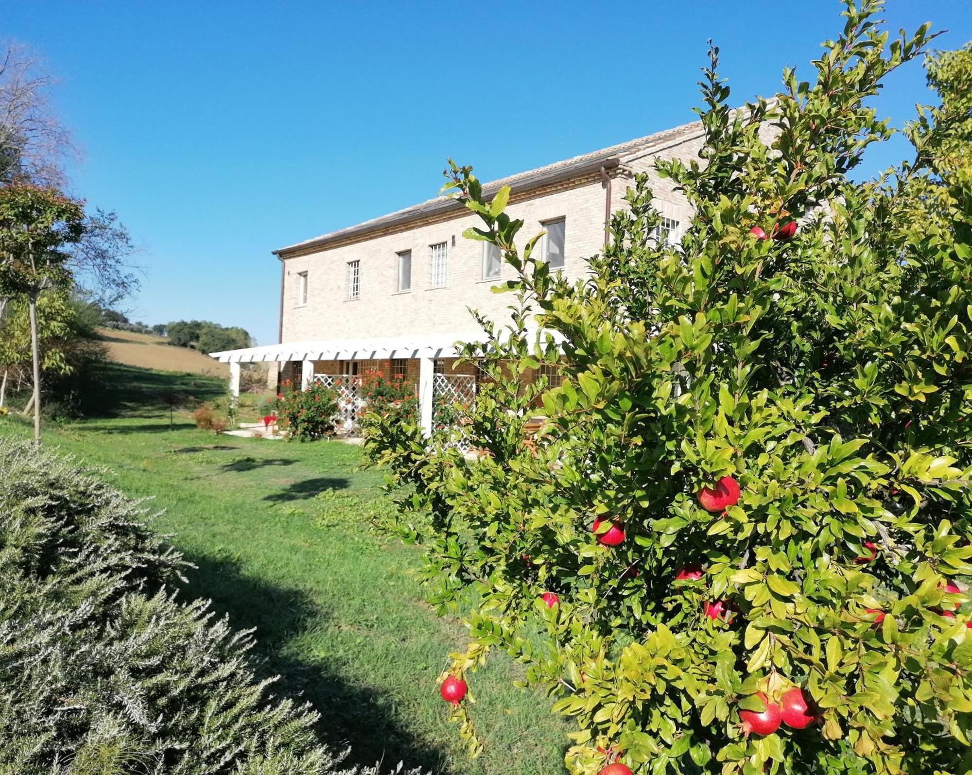 Il Giardino Nella Valle Belvedere Ostrense Εξωτερικό φωτογραφία