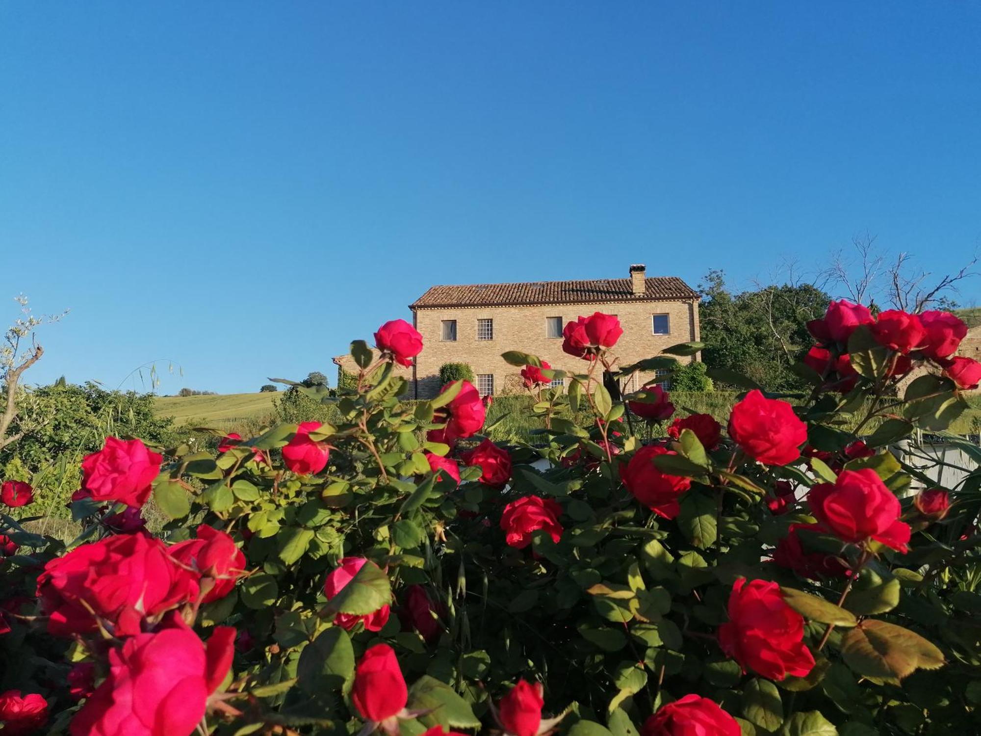 Il Giardino Nella Valle Belvedere Ostrense Εξωτερικό φωτογραφία
