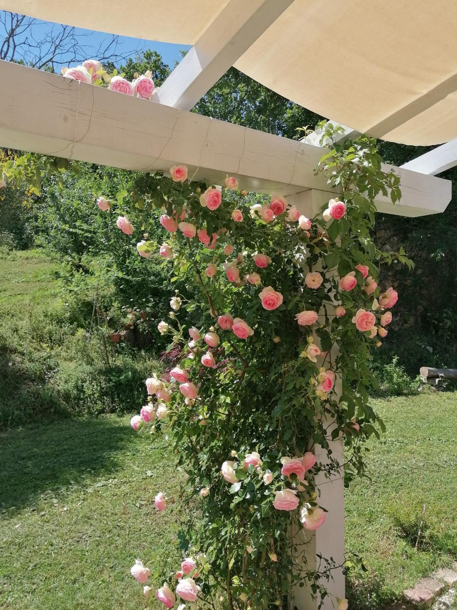 Il Giardino Nella Valle Belvedere Ostrense Εξωτερικό φωτογραφία