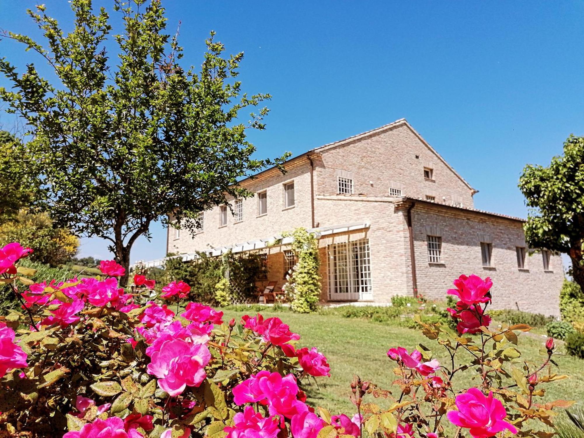 Il Giardino Nella Valle Belvedere Ostrense Εξωτερικό φωτογραφία